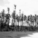 Kaimu Beach 1926. R.J. Baker photo. Bishop Museum Archives. www.bishopmuseum.org